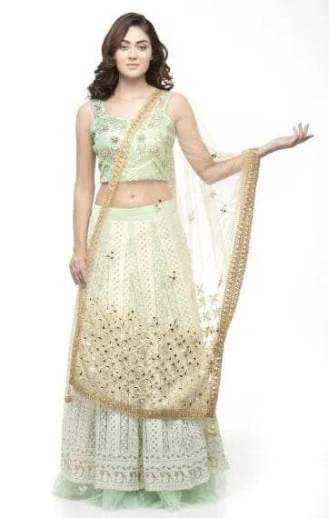 A R Silk Women's Net Original Shisha Emb. Golden Fancy Dupatta