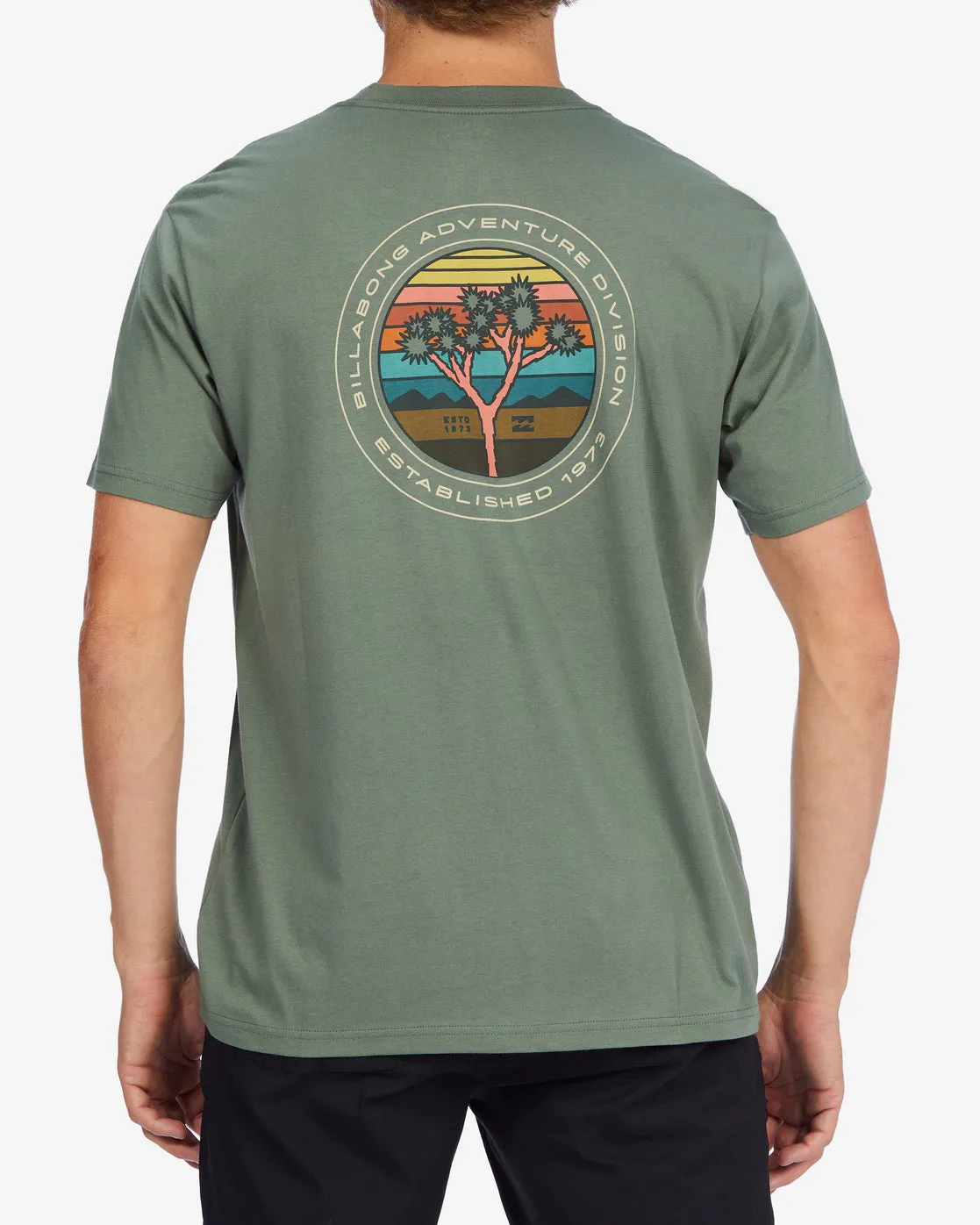 Billabong A/Div Rockies Organic Short Sleeve T-Shirt